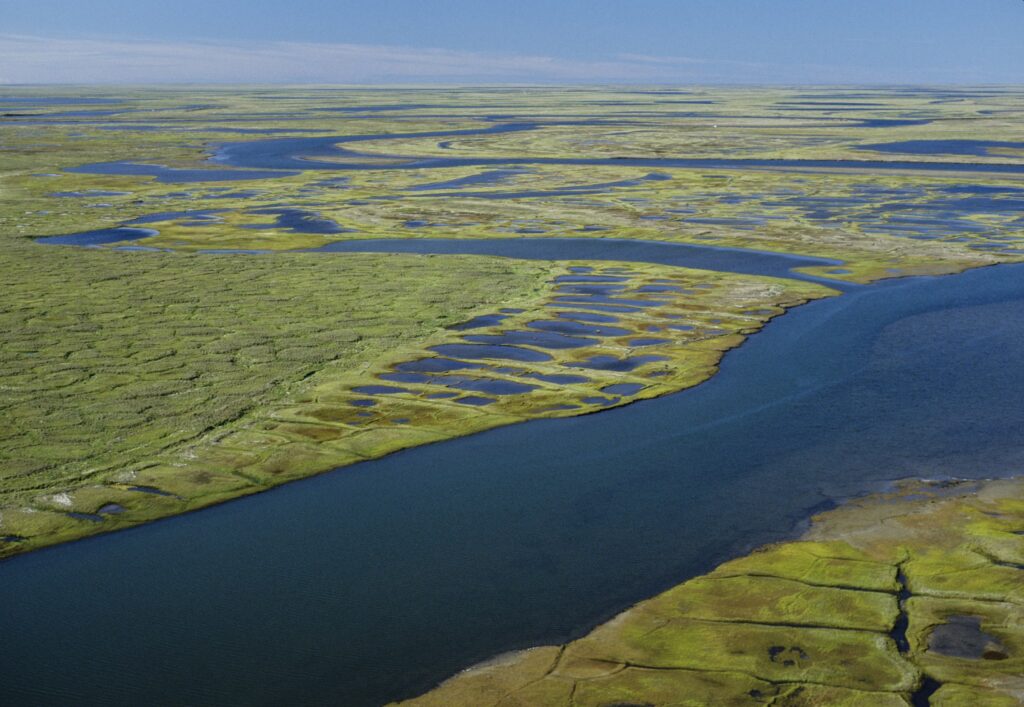 Impacts of the Colville River Delta Project, AnalysisImpacts of the ...