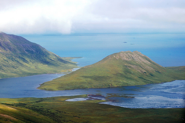 Nearly the world's entire population of black brandt use Izembek National Wildlife Refuge as an important migration stop.