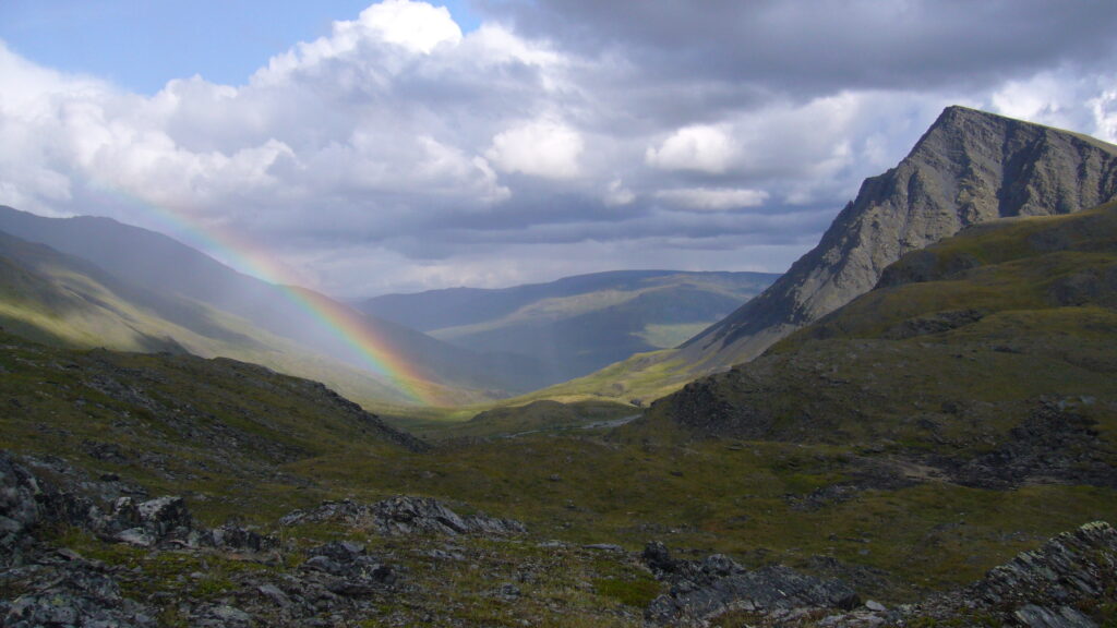 Ambler Road and the Endangered Wild