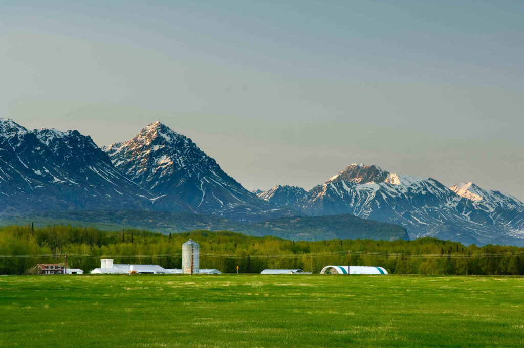 Extensive farming activities lie within miles of the proposed mines in the Matanuska Valley. Photo by Tim Leach, courtesy of Mat Valley Coalition.