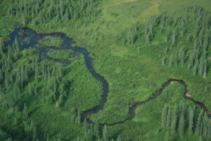 Aerial photo of Middle Creek, a tributary of the Chuitna River where PacRim hopes to remove all the water to extract coal. Photo courtesy of Alaskans First.