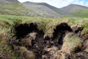 Thawing permafrost creates a sinkhole where the ground settles unevenly. Ice can be seen in the right hand edge of the hole. Photo courtesy of James Spitzer.