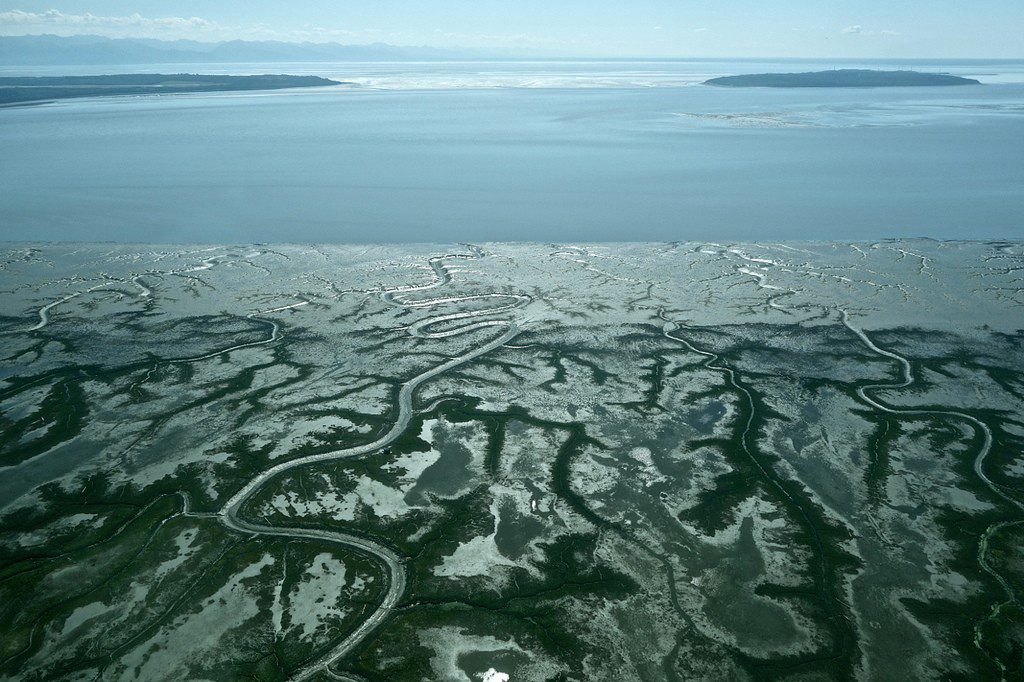 Chuitna River drains into upper Cook Inlet where salmon populations are dropping. Photo courtesy of Alaskans First.