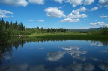 Waterway in the Yukon-Charley Rivers National Preserve. USFWS photo.