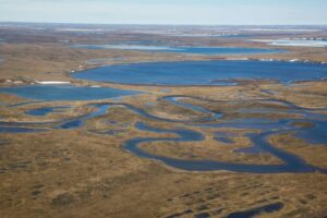 The 22.8 million acre National Petroleum Reserve-Alaska, the first location to use the new approach to mitigation, includes important nesting habitat for migratory birds. BLM photo by Bob Wick.