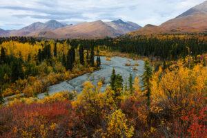 Fall colors in Wrangell-St. Elias National Park. NPS Photo by Bryan Petrtyl.