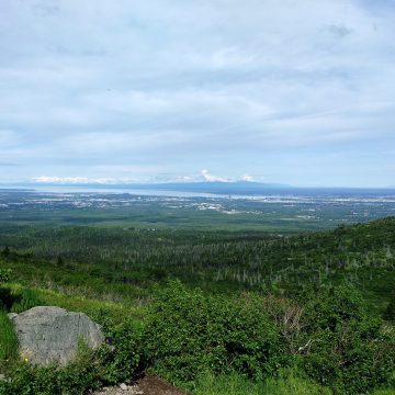A view of Anchorage from the Wolverine Peak trail.