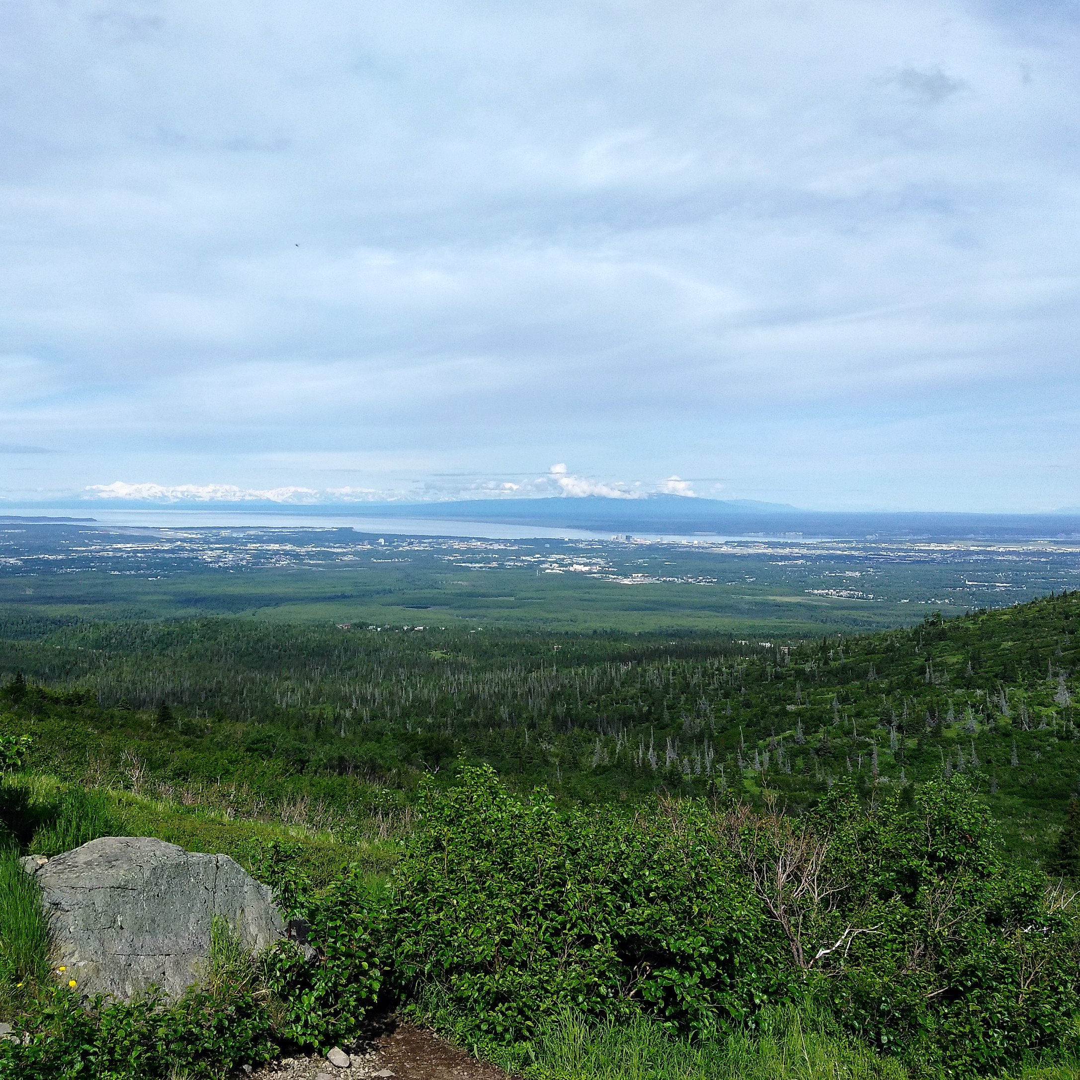 A view of Anchorage from the Wolverine Peak trail.