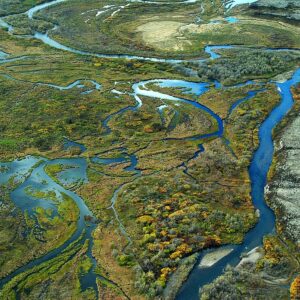 We should speak out for Alaska and Bristol Bay. This image of the watershed shows it's vitality. 