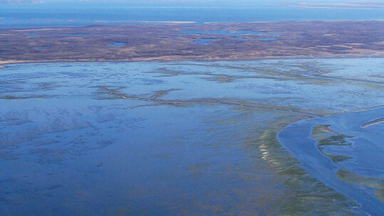 The Izembek isthmus is a narrow wetland area that makes up the heart of the refuge.