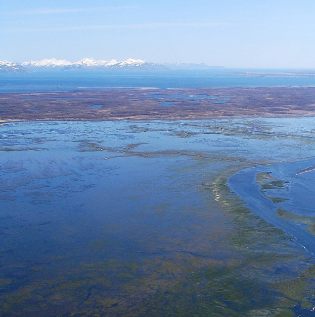 The Izembek isthmus is a narrow wetland area that makes up the heart of the refuge.