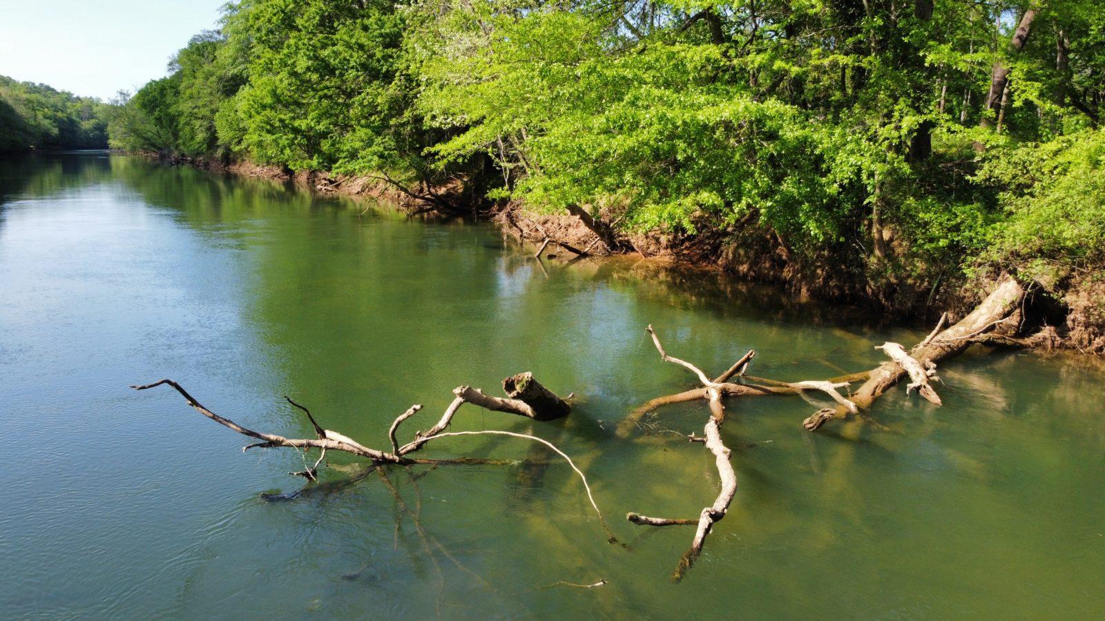 Playing on the Chattahoochee floodplains seeded my interest in legal advocacy, says legal fellow Geoff Toy